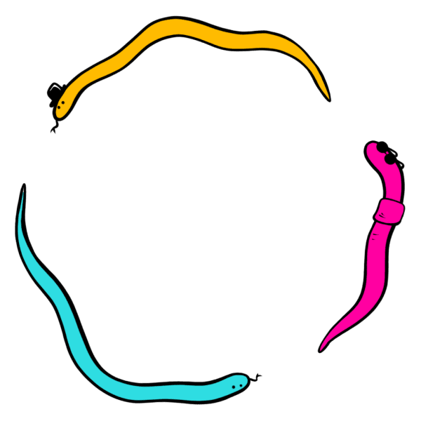 a spinning circle of snakes, one earthworm